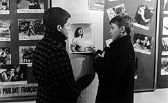 The 400 Blows