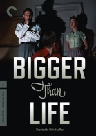 Bigger Than Life Criterion Collection DVD