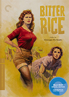 Bitter Rice Criterion Collection Blu-ray