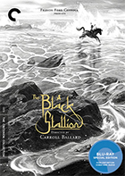 The Black Stallion Criterion Collection Blu-ray