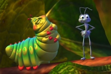 A Bug’s Life