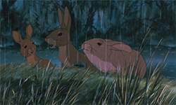 Watership Down