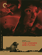 The Cranes Are Flying Blu-ray