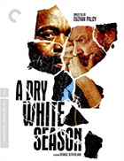 A Dry White Season Criterion Collection Blu-ray