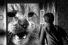 The Incredible Shrinking Man