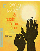 A Raisin in the Sun Criterion Collection Blu-ray