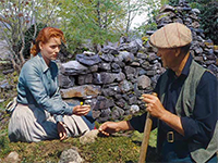 The Quiet Man